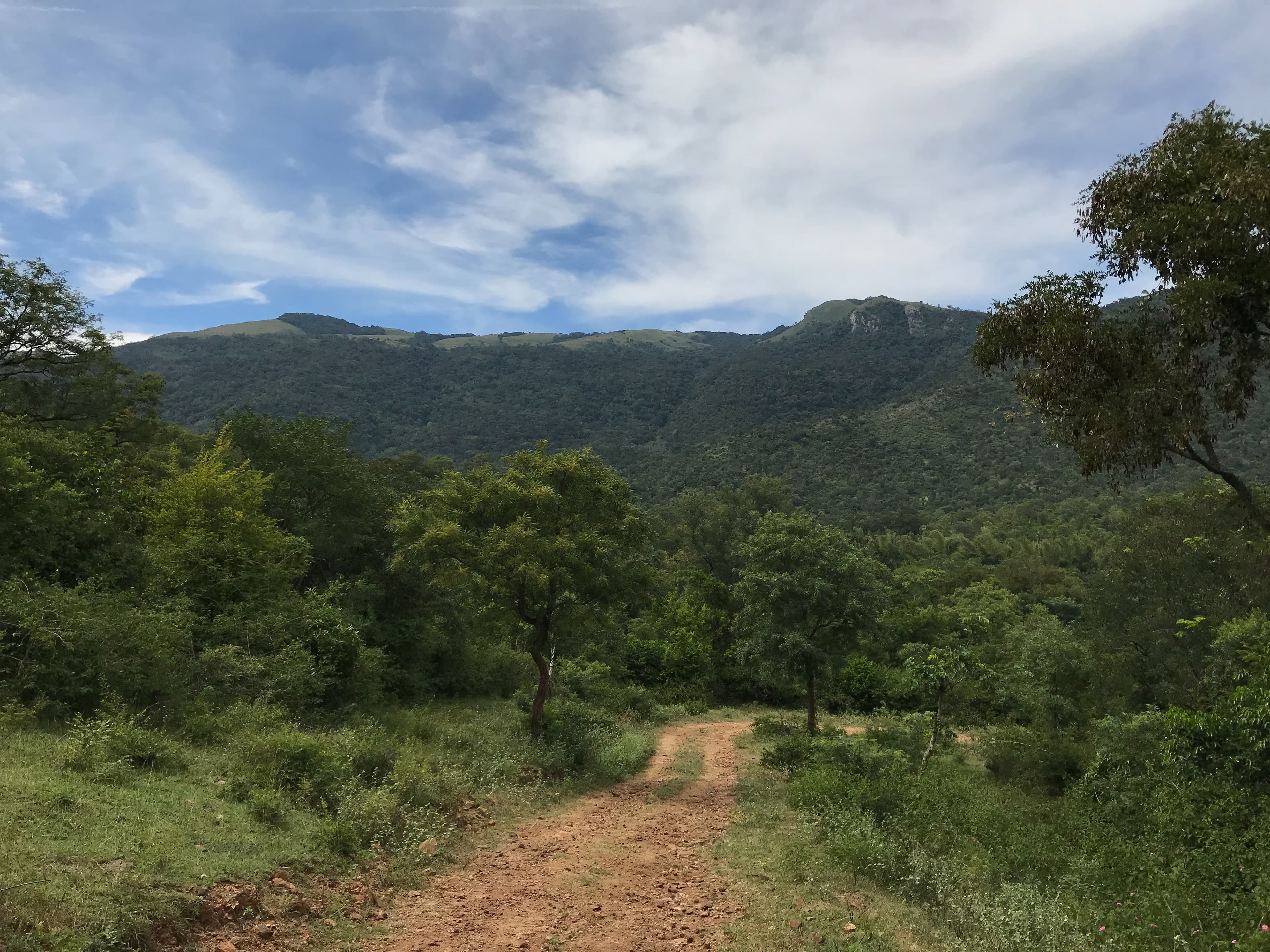 Biligiri Rangaswamy Temple Tiger Reserve