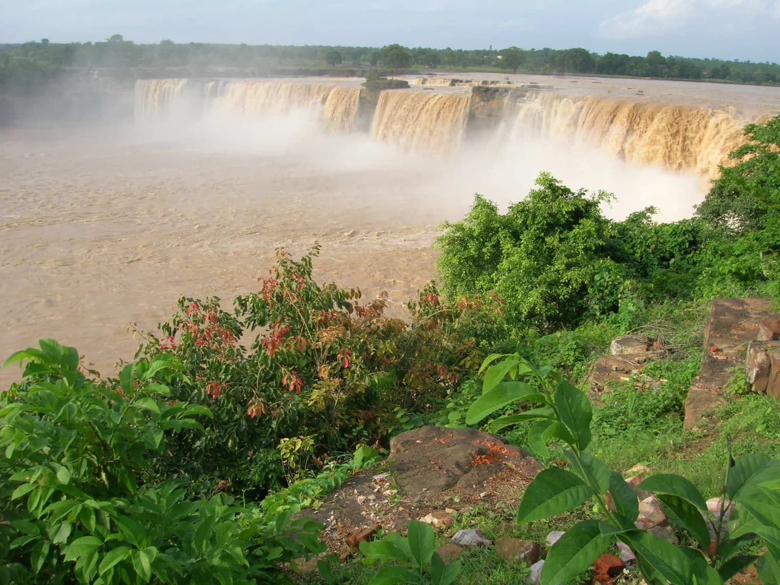 Indravati National Park