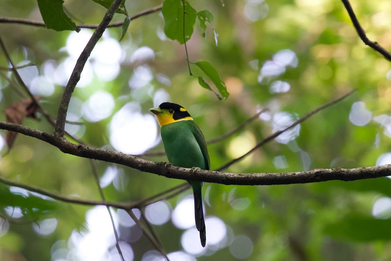 Namdapha National Park